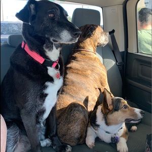 Meet your Posher, Laura